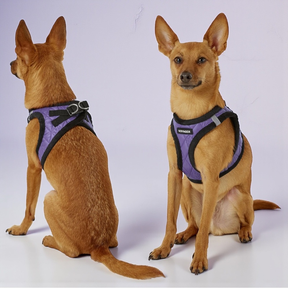 Voyager Step-In Plush Dog Harness Purple Small NWOT Reflective Vest NWOT